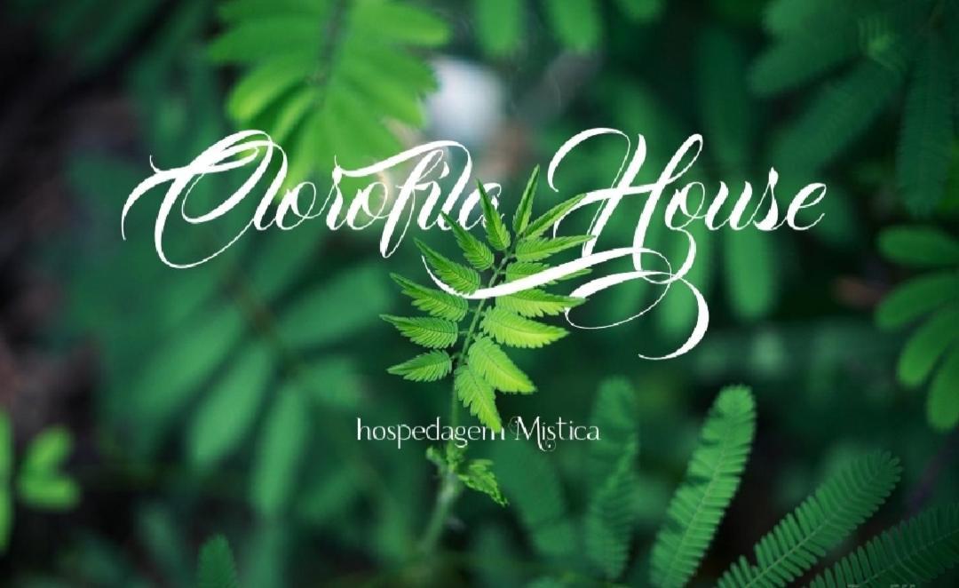 Clorofila House Glamping Naturista 乌巴图巴 外观 照片