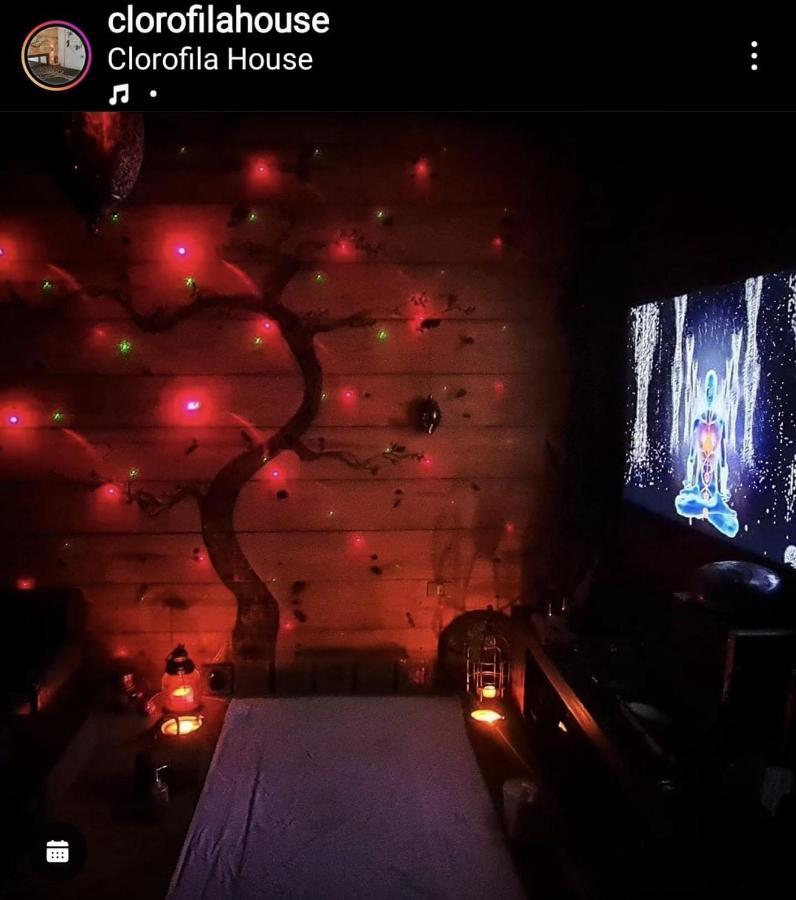 Clorofila House Glamping Naturista 乌巴图巴 外观 照片