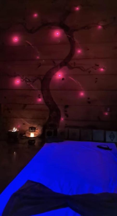 Clorofila House Glamping Naturista 乌巴图巴 外观 照片